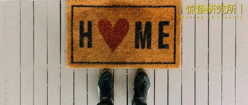 家居消費市場的next level 從好銷量到好增長