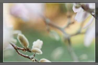 京東報百億補貼活動要錢嗎？京東百億補貼在哪里？