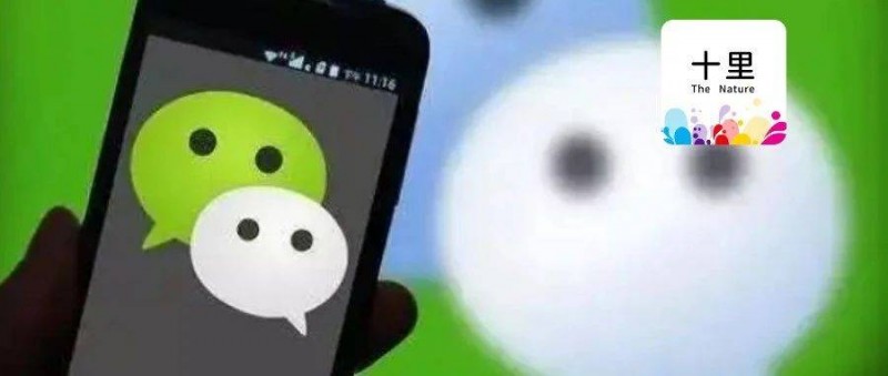 在視頻號(hào)做跨境電商，賣瘋了！