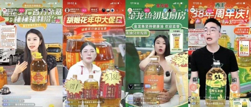 喝油，懟人，裝死！金龍魚(yú)們的直播間24小時(shí)