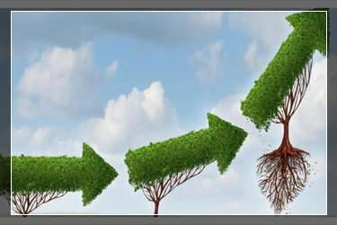 拼小圈?？春糜褜?duì)方有提示么？好友刪除了怎么加回來？