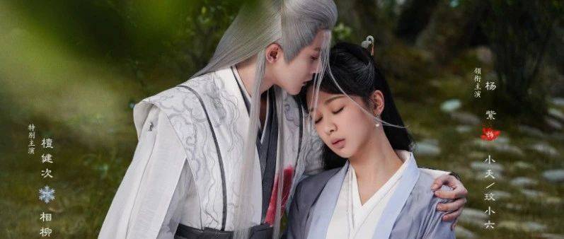 為了看夭柳的番外，他們竟盯上了......