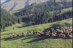 美聯(lián)儲降息預期之下，文遠知行的IPO之路錢途幾何？