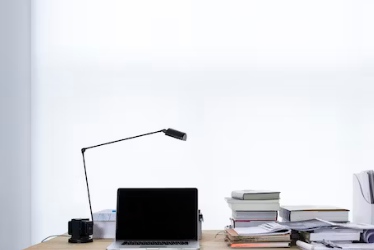 電腦版小紅書怎么看直播？網(wǎng)頁版小紅書怎么看直播？