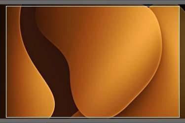 補(bǔ)單跟放單有什么區(qū)別？補(bǔ)單一般多少錢一單？