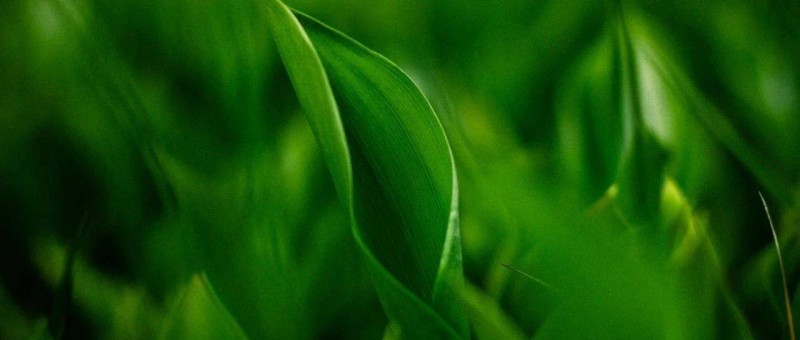 2025內容營銷 以更少的資源獲得持續(xù)關注