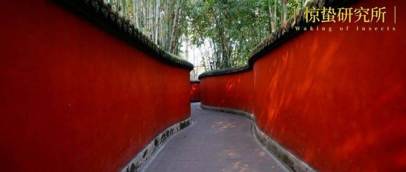 新中式消費出圈，解鎖8個年輕人市場