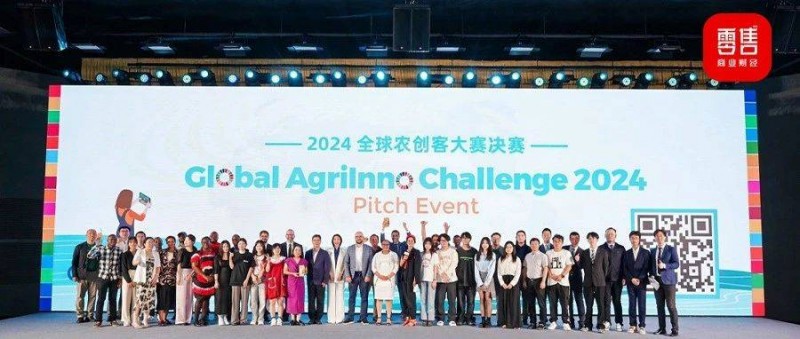 拼多多秋收不斷檔 往上游縱深，向海外輸出