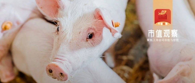 進(jìn)擊中的牧原丨高分紅，再起舞