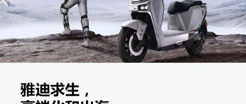 雅迪業(yè)績踩剎車，電動一哥怎么了？