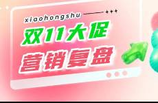 小紅書(shū)雙11即將收官，大促?gòu)?fù)盤(pán)如何提效？