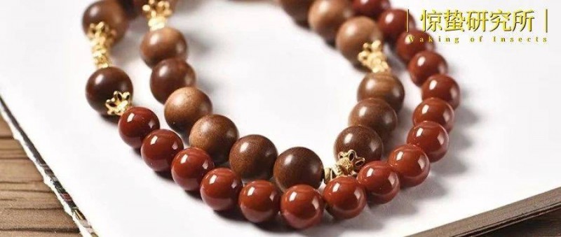 新型「中產(chǎn)收割機」，這個小眾賽道悄悄崛起