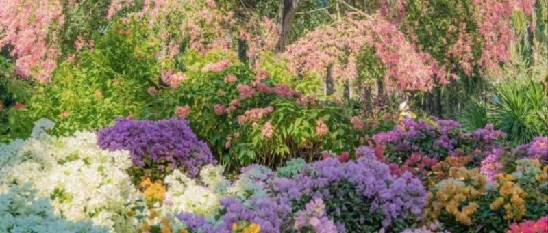 大齡產(chǎn)品經(jīng)理都轉(zhuǎn)型做什么了？100 個(gè)故事100 種可能