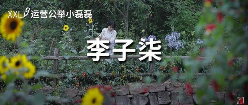 李子柒一晚漲粉400萬！停更3年，歸來仍是頂流。