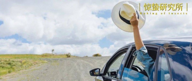 一線訪談丨搭子旅游，從嫌棄到放棄？