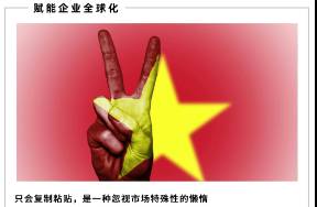 越南，成不了中國跨境商家的退路