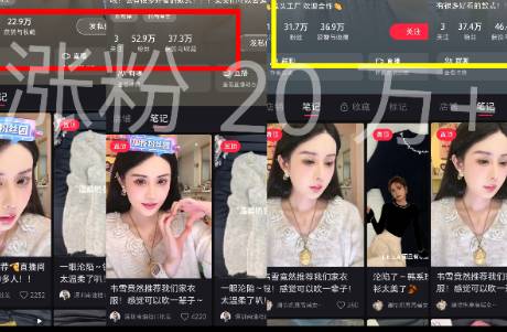 靠近韋雪，小紅書一款毛衣一周300萬營收