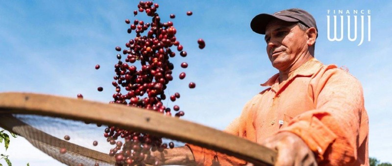 一杯中國咖啡，如何解鎖中巴合作新增量？