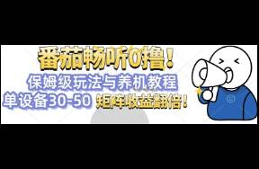 番茄暢聽0擼，保姆級玩法與養(yǎng)機教程單設備30-50，矩陣