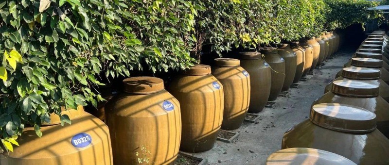 金沙酒業(yè)又換帥，華潤難飲白酒？