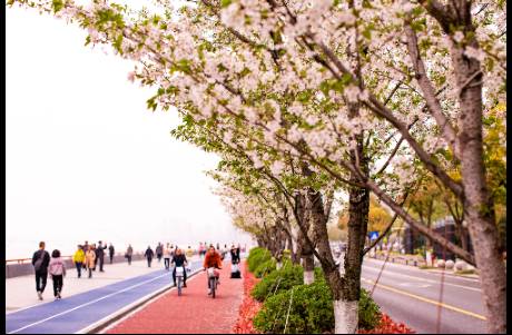 抖音 amp;小紅書 看起來流量大，但沒幾個賺錢的