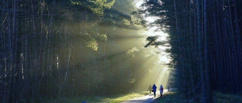 35+職場人解決方案 人到中年，如何找到終身事業(yè)？