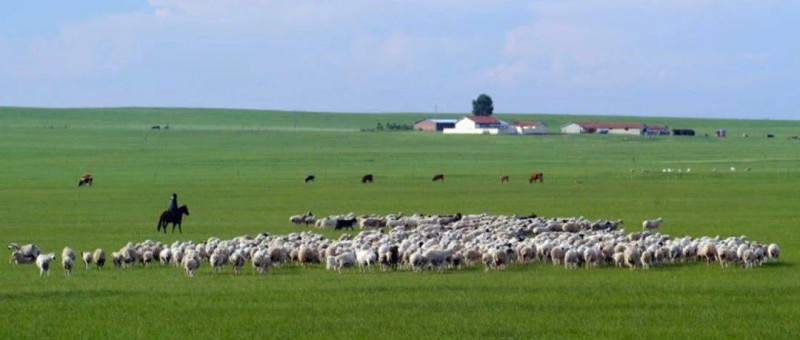 從產(chǎn)業(yè)正循環(huán)，讀懂京東式助農(nóng)