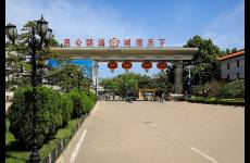 前三季度營(yíng)收破三百億大關(guān)，山西汾酒闖入行業(yè)前三