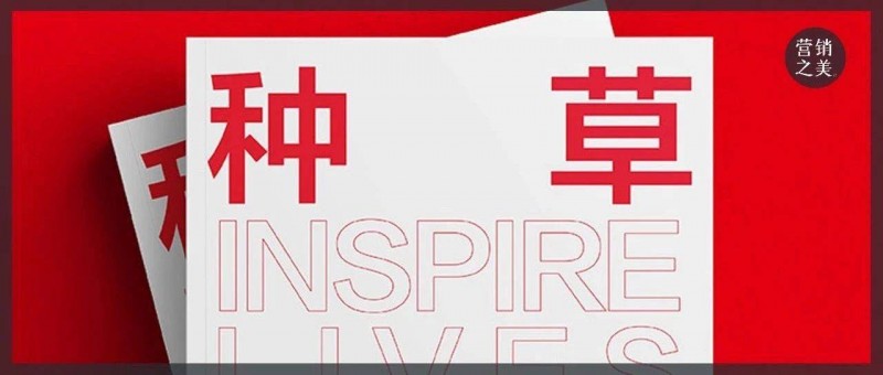 重識種草 從營銷戰(zhàn)術到企業(yè)戰(zhàn)略