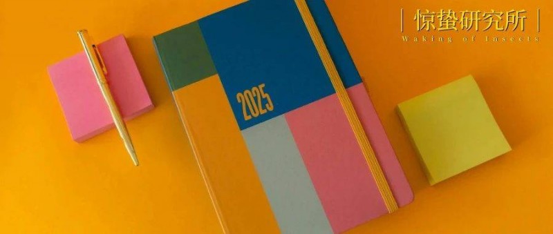 2025消費 理性消費，感性突圍