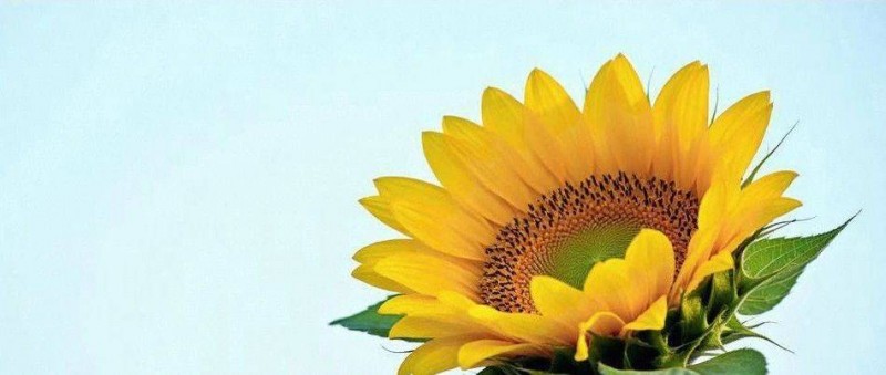 2025 年個稅專項(xiàng)附加扣除確認(rèn)指南 輕松操作，省錢攻略來襲！