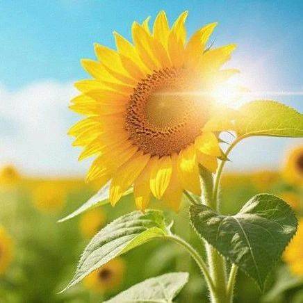 領(lǐng)失業(yè)金要什么手續(xù)和資料？3 分鐘學(xué)會(huì)，輕松領(lǐng)補(bǔ)貼