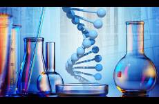 3個(gè)月股價(jià)漲超130！亞香股份緣何成了資金眼中的香餑