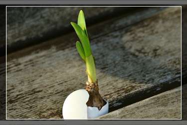 閑魚新號(hào)流量扶持多久？閑魚限流以后還能好嗎？