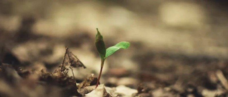 鞋服行業(yè)的環(huán)保之路 2大爭議，4個方向