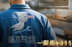 屢遭投訴、曝光，啄木鳥(niǎo)就是不改？