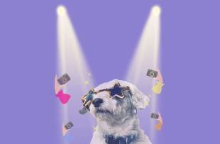 從流量到留量 海外紅人營(yíng)銷驅(qū)動(dòng)寵物品牌用戶深度運(yùn)營(yíng)