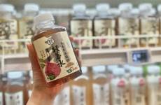 躲在工位里的脆皮年輕人，捧出新藍(lán)海