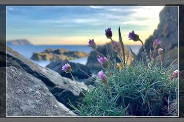 拼多多運(yùn)費(fèi)險(xiǎn)怎么算的？拼多多運(yùn)費(fèi)險(xiǎn)多少錢