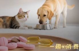 這屆鏟屎官，每年花上萬元給寵物養(yǎng)生保健