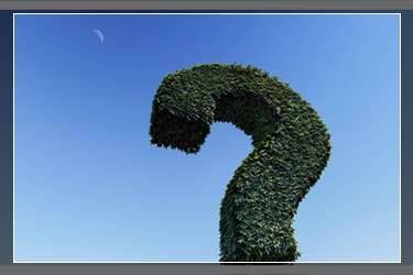 淘寶新店補(bǔ)單要怎么補(bǔ)才能成功？淘寶新店多久可以出單