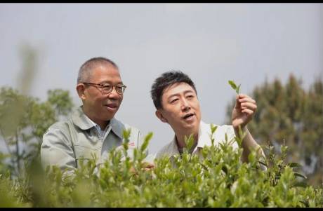 娃哈哈口碑反轉(zhuǎn)背后 全網(wǎng)欠鐘睒睒一個(gè)光明正大的道歉