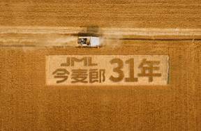 從麥田到餐桌，今麥郎如何用一根麥穗撬動(dòng)國(guó)民好人緣？?