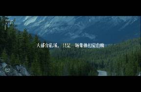 頂級私域IP，都有1種淡淡的牛逼感