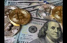 商家 卷不動！真卷不動了！拼多多該如何擺脫低價內(nèi)卷？