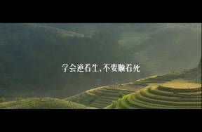 做私域，不要順著死學(xué)會(huì)逆著生