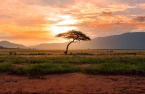 2025，畢業(yè)生 卷 向出海