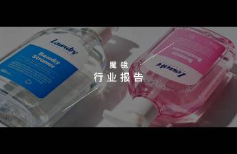 魔鏡洞察AI+數(shù)據(jù)賦能-家清個(gè)護(hù)閉門會(huì)主題演講圓滿結(jié)束！