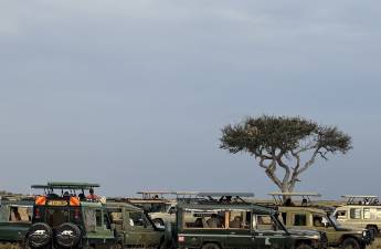 東非草原大堵車，真是中國(guó)游客扎堆擠出來的？